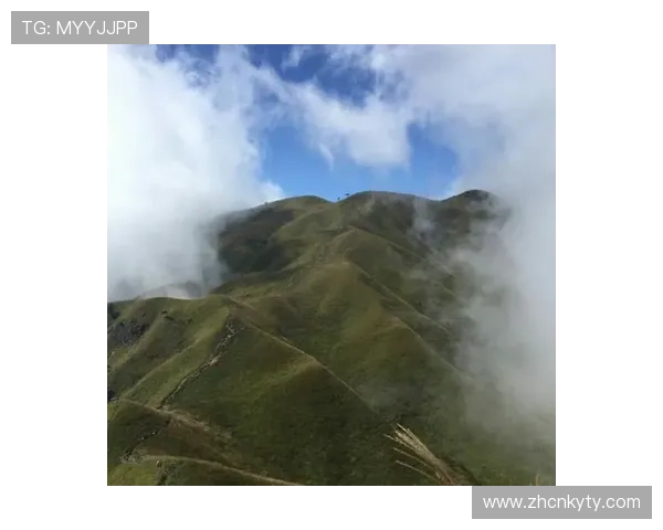 开云官方网站首页安全保障措施与支付方式介绍 开云官方网站首页安全保障措施与支付方式介绍