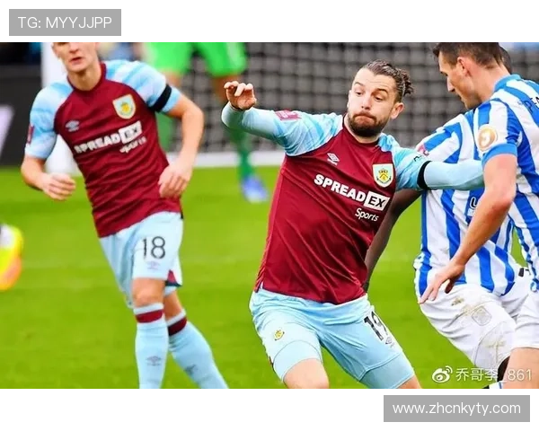 开云足球网页版用户评价与使用体验总结