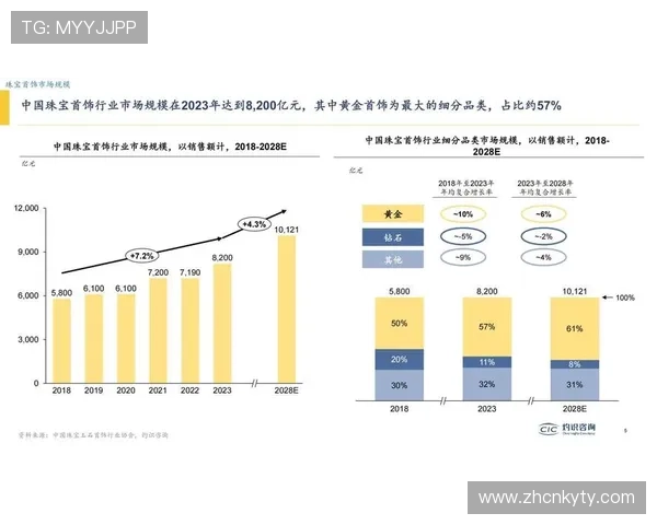 开云中国关网事件对中国奢侈品市场的冲击与未来趋势分析